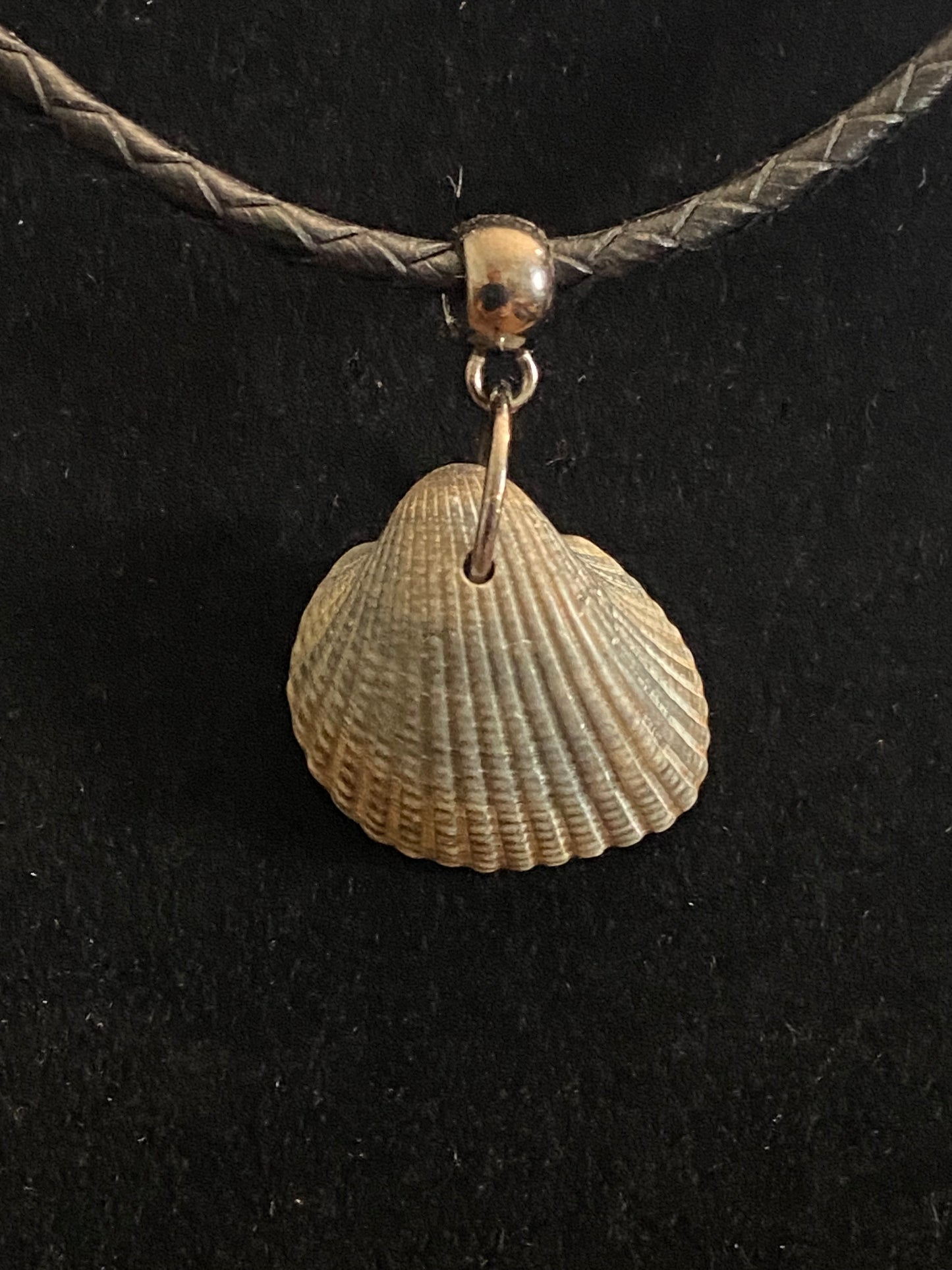 Gray & Brown Seashell & Black Leather Cord Necklace