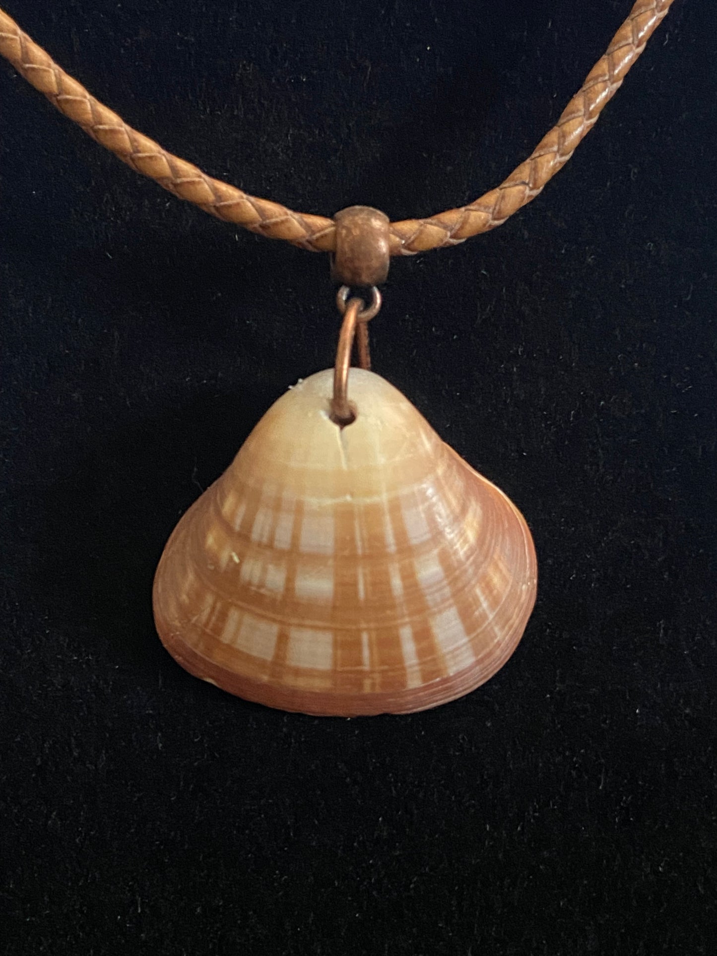 Tan and Gray Seashell with Brown Leather Cord Necklace