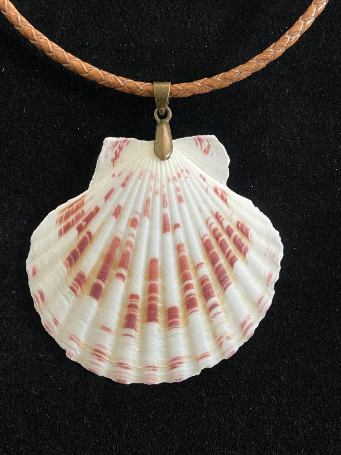 White, Maroon & Tan Seashell with Light Brown Leather Cord Necklace