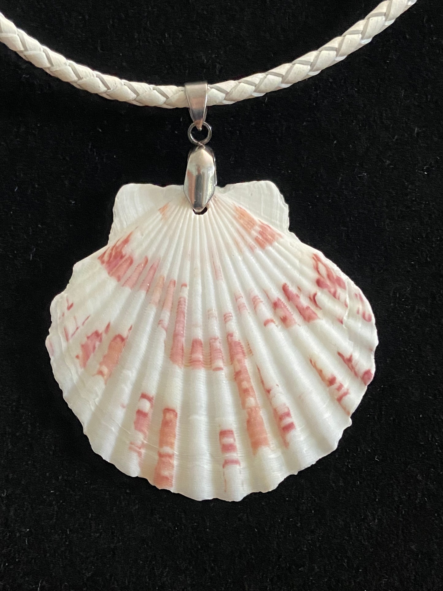 White & Maroon Seashell with White Leather Cord Necklace 4