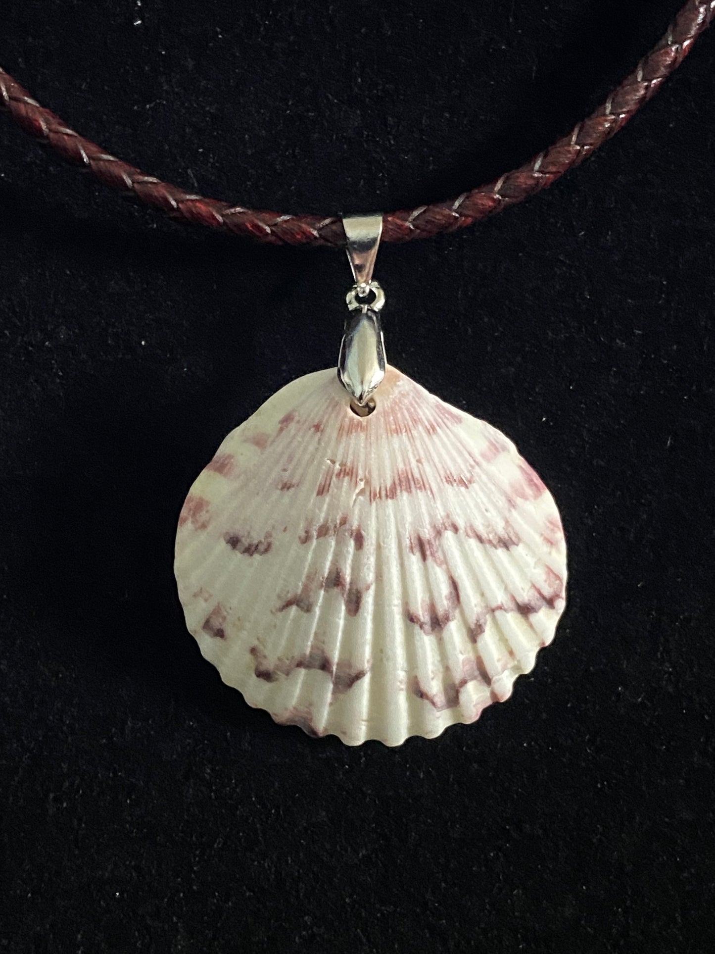 White and Purple Seashell with Dark Maroon Leather Cord Necklace