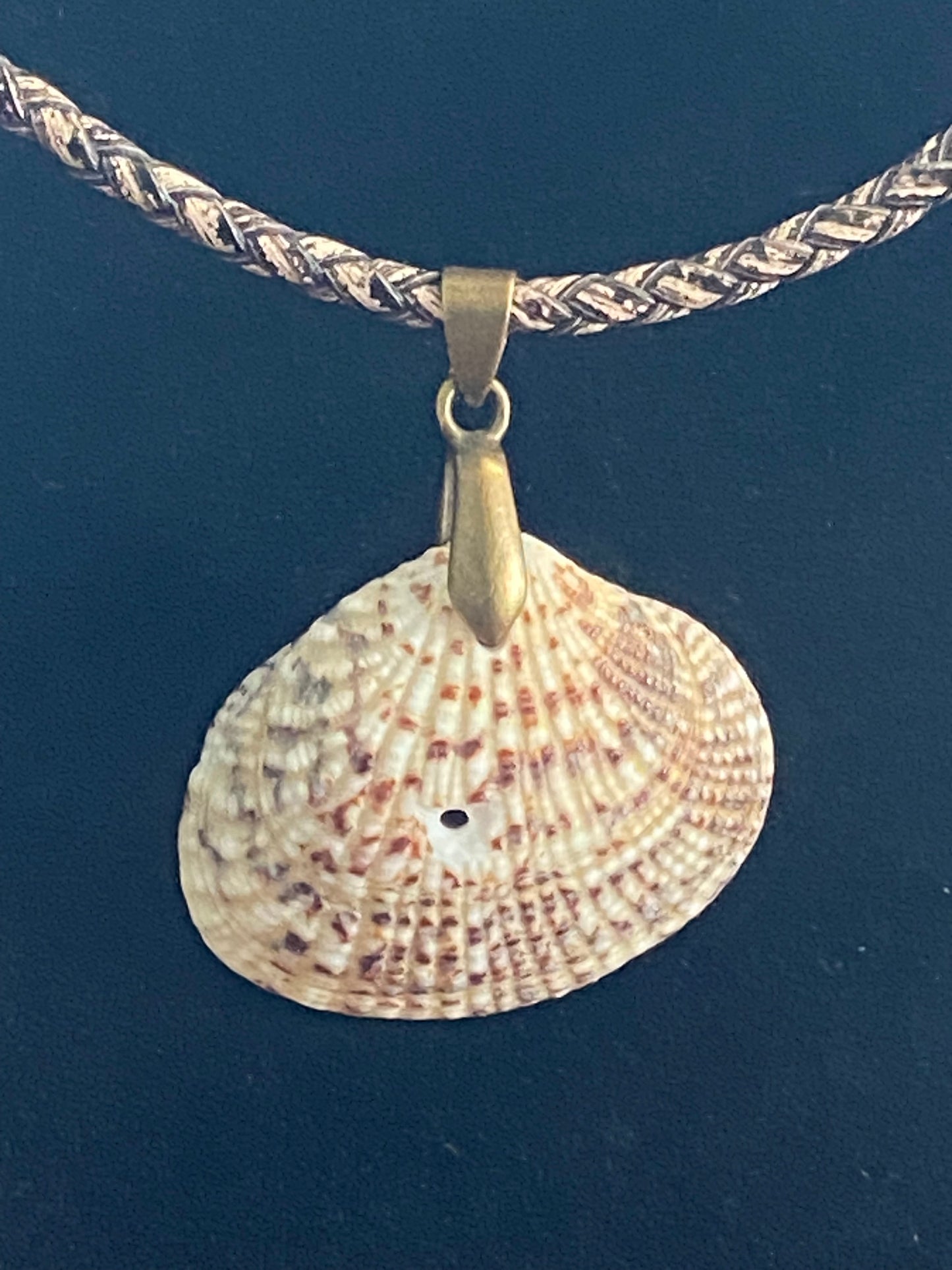 Tan Seashell with Tan & Brown Leather Cord Necklace (slight imperfection)