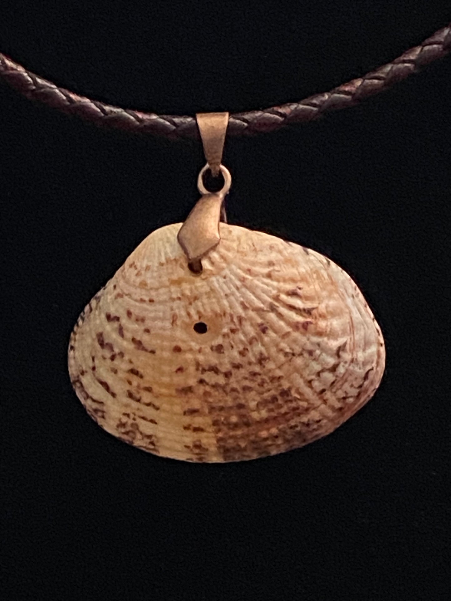 Maroon & Tan Seashell with Maroon Leather Cord Necklace (slight imperfection)