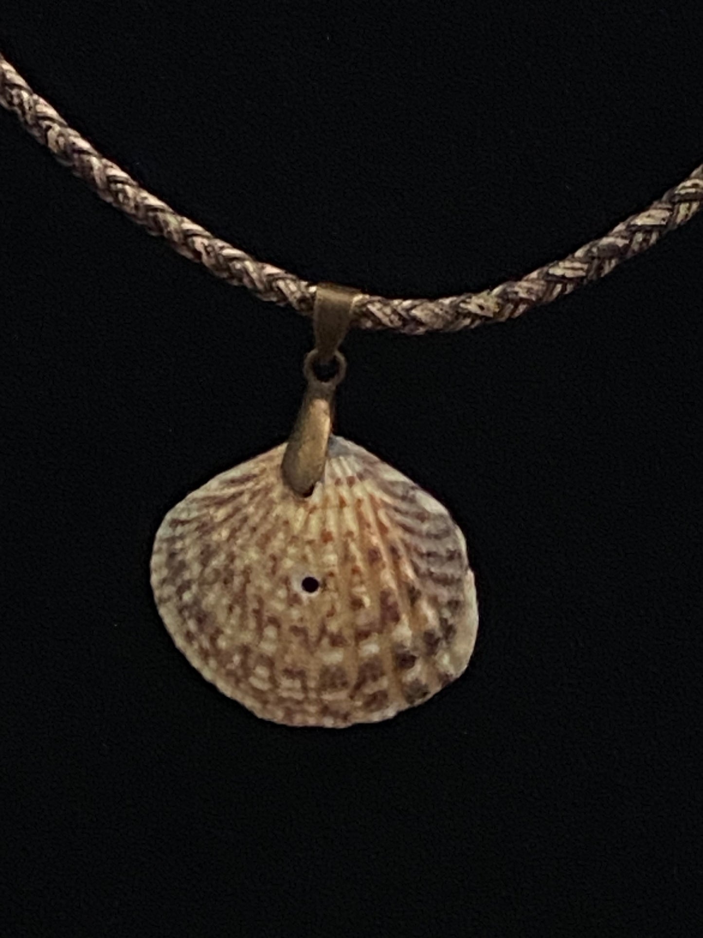 Tan & Brown Seashell with Tan & Brown Leather Cord Necklace