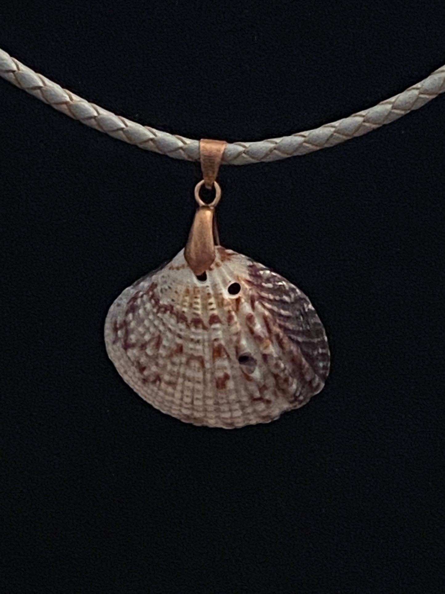 Gray & Maroon Seashell with Gray & Maroon Leather Cord Necklace (slight imperfection)