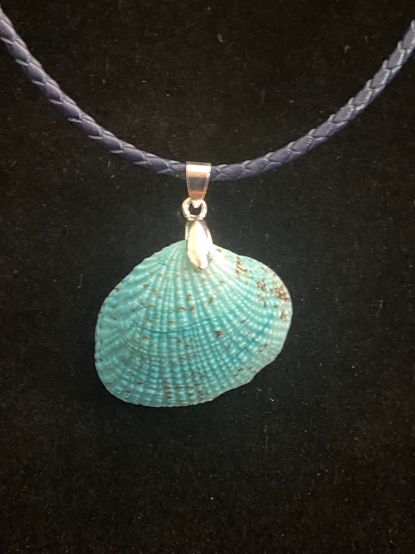 Aqua Seashell & Blue Leather Cord Necklace