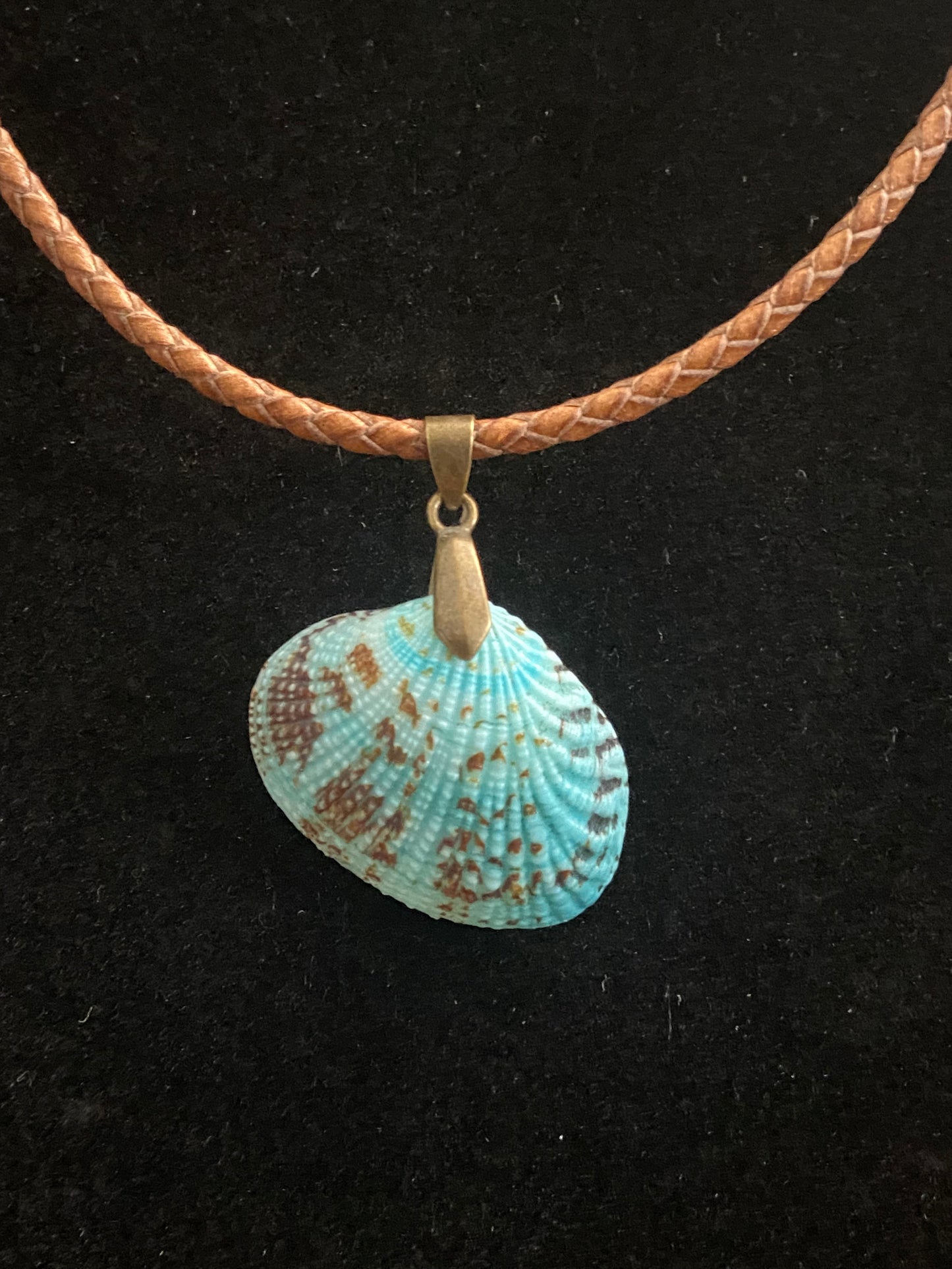 Aqua & Tan Seashell & Tan Leather Cord Necklace