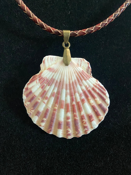 White & Maroon Seashell with Maroon & Tan Leather Cord Necklace 3