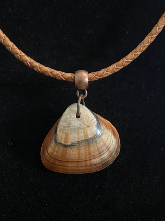 Tan, Brown and Gray Seashell with Brown Leather Cord Necklace