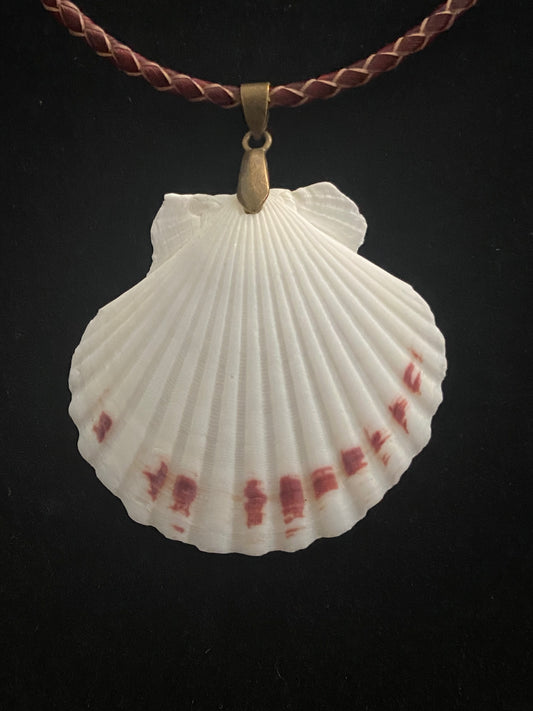 White & Maroon Seashell with Maroon and Tan Leather Cord Necklace 4