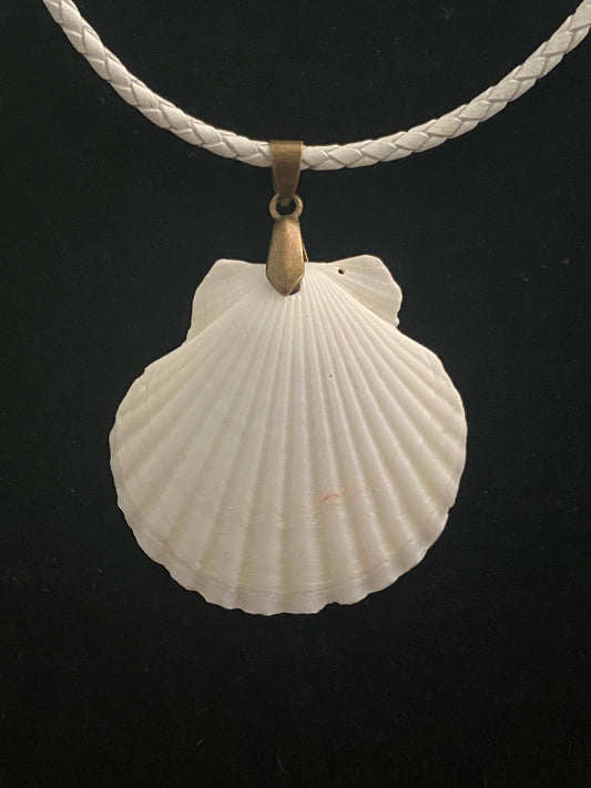 White Seashell with White Leather Cord Necklace 2