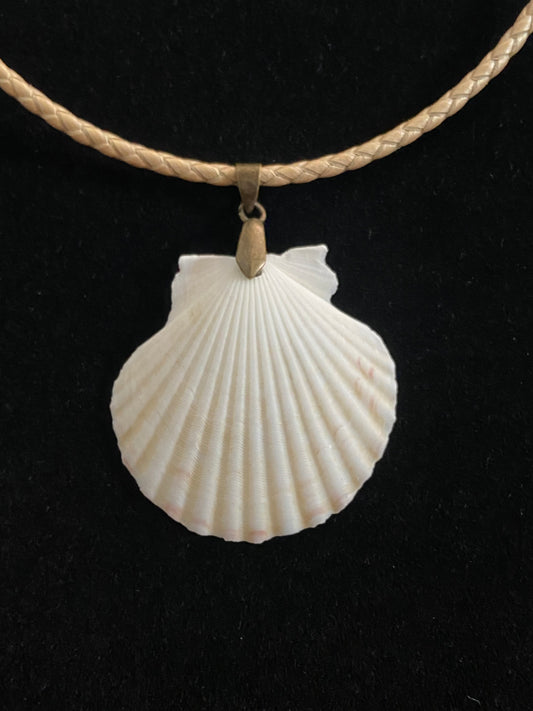 White Seashell with Tan Leather Cord Necklace 2