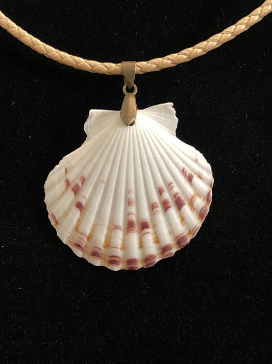 White, Maroon & Tan Seashell with Tan Leather Cord Necklace 3