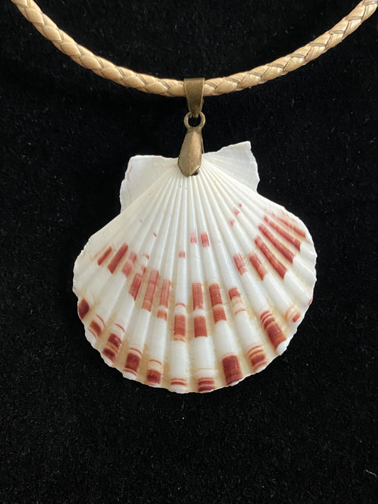 White, Maroon & Tan Seashell with Tan Leather Cord Necklace 4