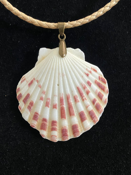 White, Maroon & Tan Seashell with Tan Leather Cord Necklace 5