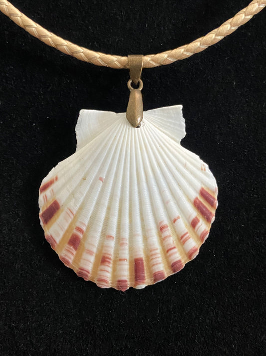 White, Maroon & Tan Seashell with Tan Leather Cord Necklace 6