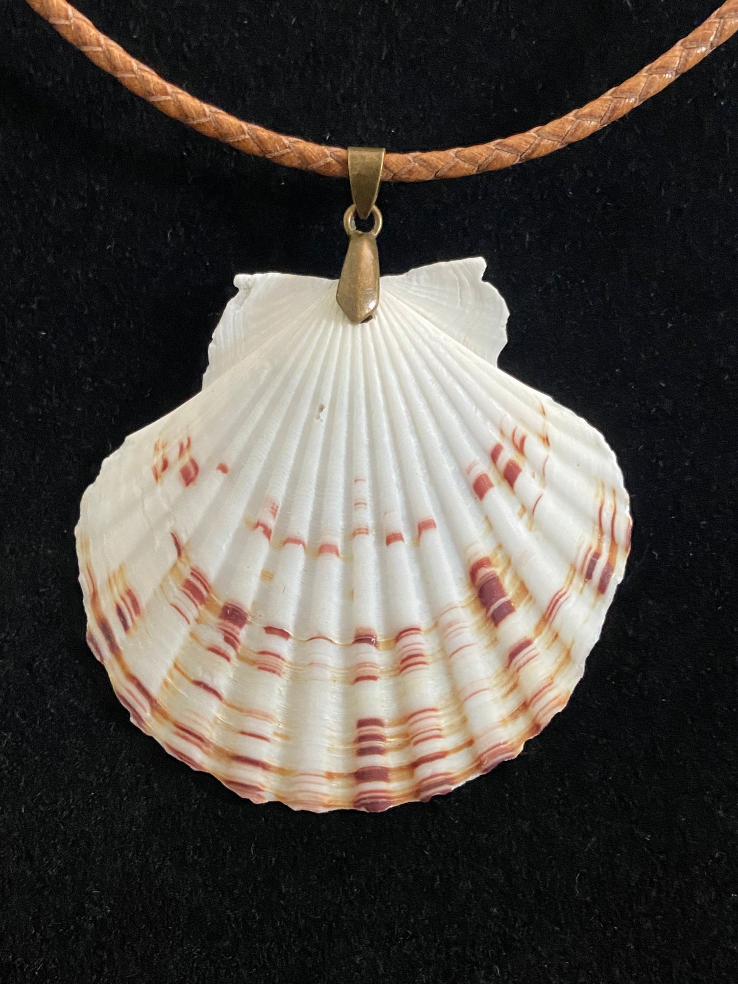 White, Maroon & Tan Seashell with Light Brown Leather Cord Necklace 2