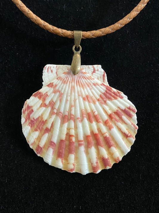 White, Maroon & Tan Seashell with Light Brown Leather Cord Necklace 3