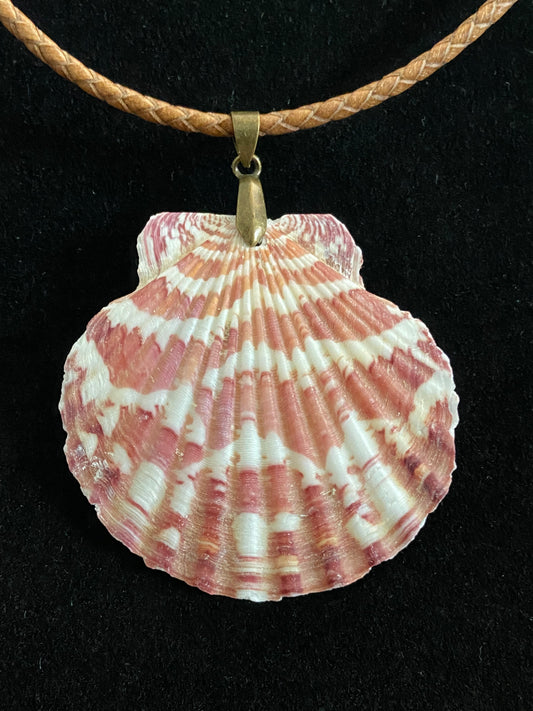 White, Maroon & Tan Seashell with Light Brown Leather Cord Necklace 4