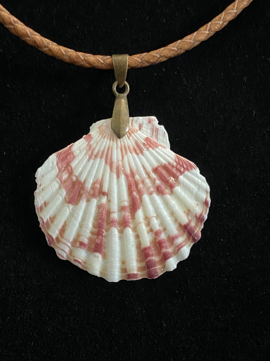 White, Maroon & Tan Seashell with Light Brown Leather Cord Necklace 5