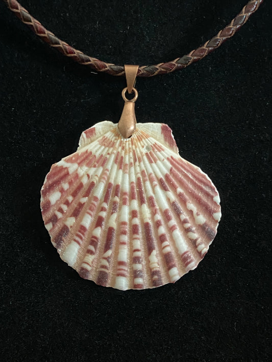 White & Maroon Seashell with Maroon and Tan Leather Cord Necklace 6