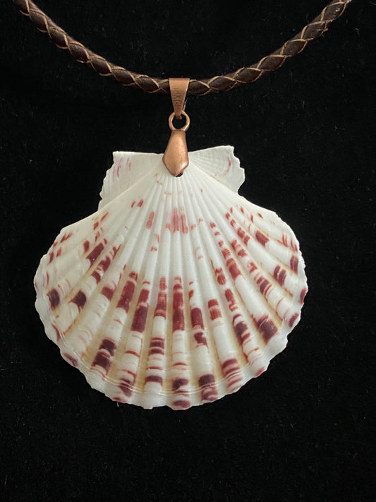 White & Maroon Seashell with Maroon and Tan Leather Cord Necklace 7