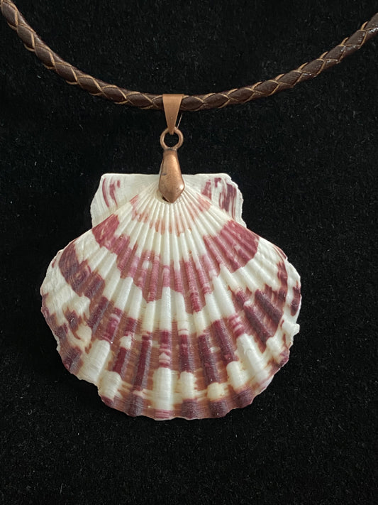 White & Maroon Seashell with Maroon and Tan Leather Cord Necklace 8