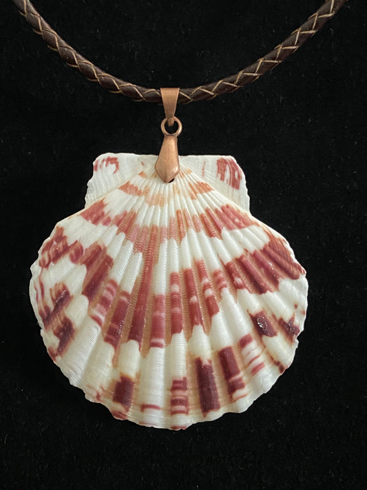 White & Maroon Seashell with Maroon and Tan Leather Cord Necklace 9