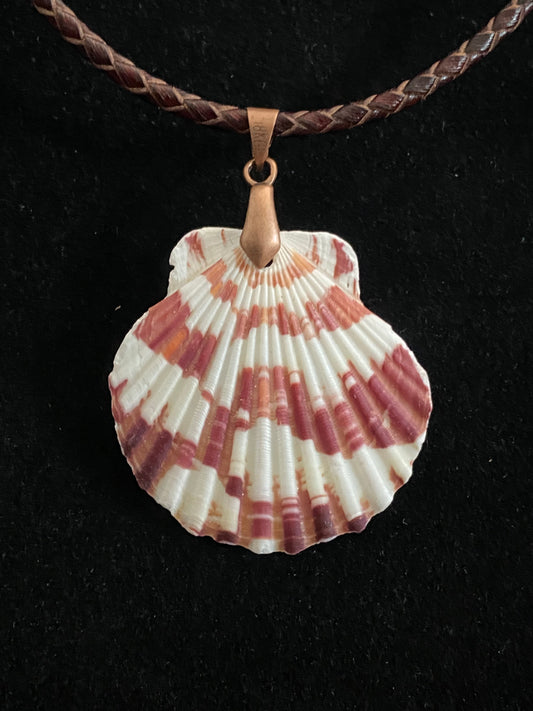 White & Maroon Seashell with Maroon and Tan Leather Cord Necklace 10