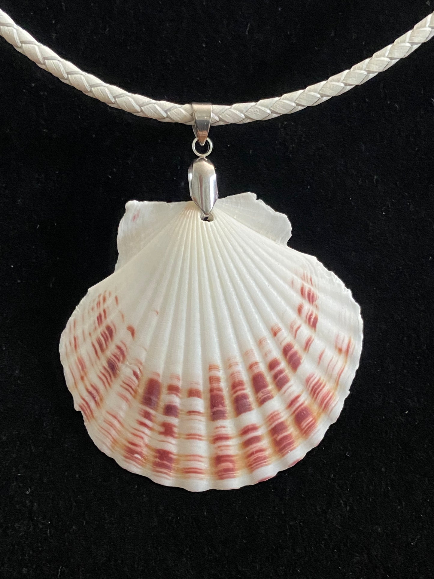 White & Maroon Seashell with White Leather Cord Necklace 5