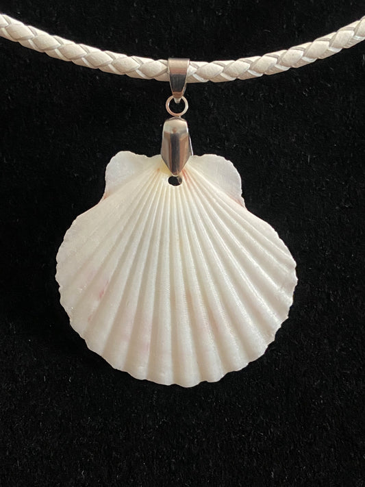 White Seashell with White Leather Cord Necklace 3