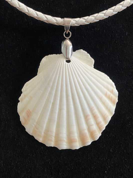 White & Tan Seashell with White Leather Cord Necklace