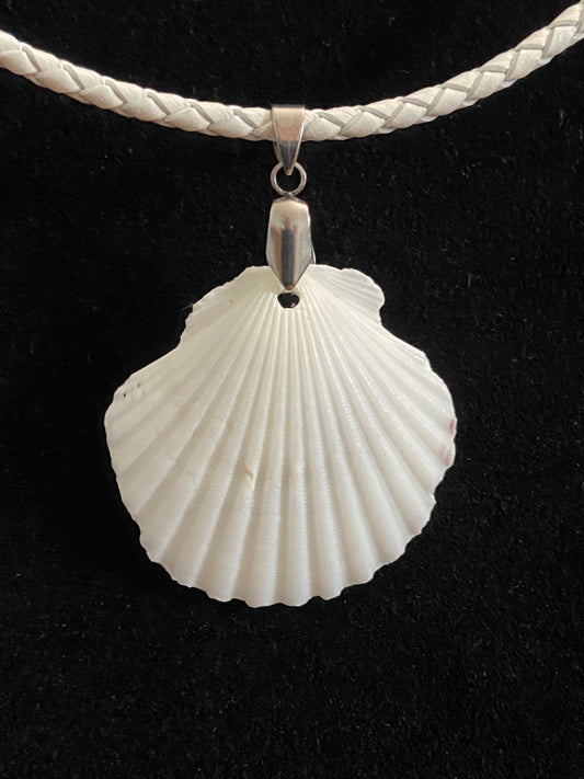 White Seashell with White Leather Cord Necklace 4