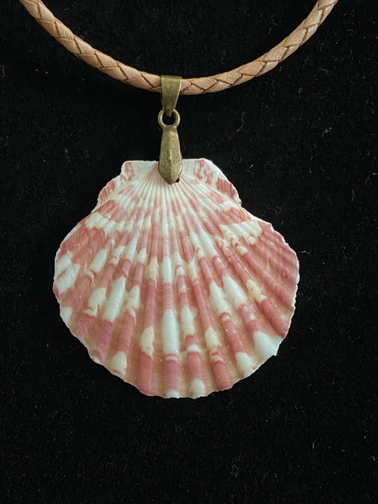 White, Maroon & Tan Seashell with Tan Leather Cord Necklace 7