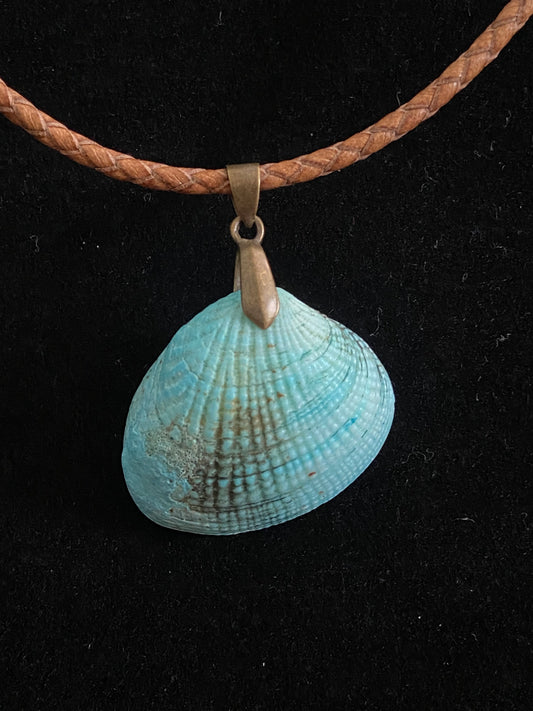 Aqua & Tan Seashell & Brown Leather Cord Necklace 2