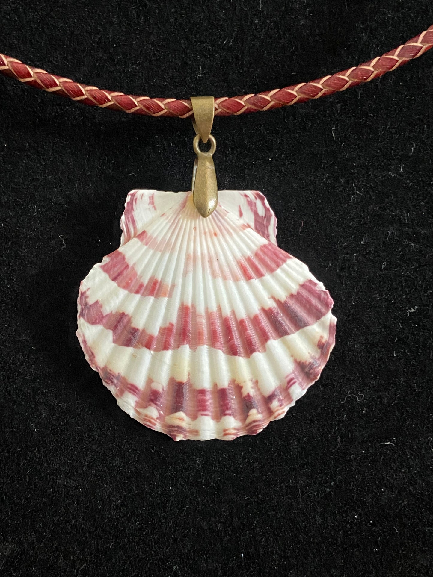 White & Maroon Seashell with Maroon and Tan Leather Cord Necklace 11