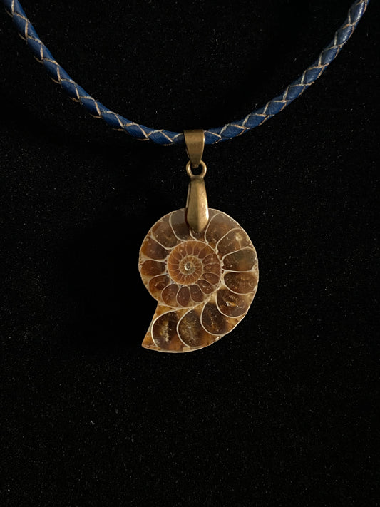 Brown Ammonite Cabochon with Blue Leather Cord Necklace