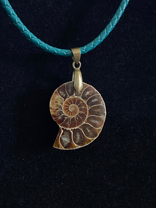 Brown Ammonite Cabochon with Green Leather Cord Necklace