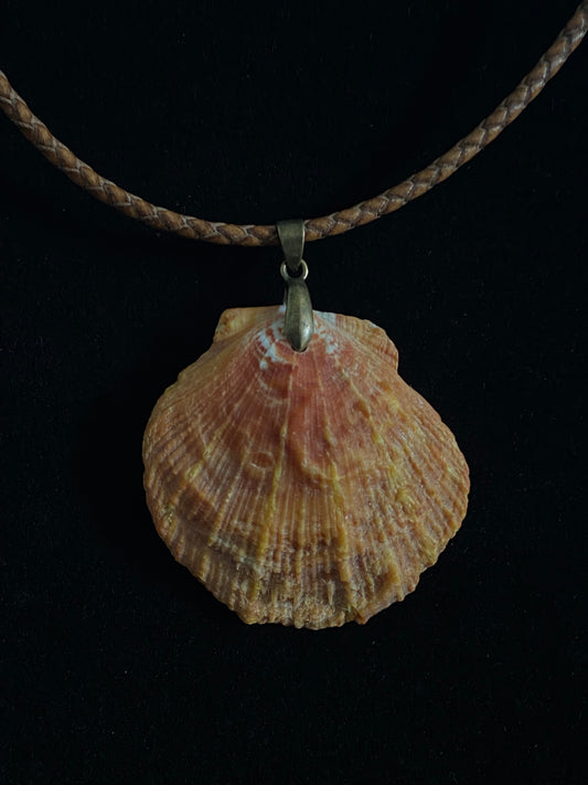 Orange, Brown, Tan and Gray Seashell with Brown Leather Cord Necklace