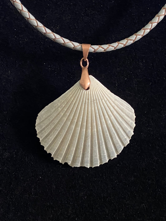 Gray Seashell with Gray Leather Cord Necklace