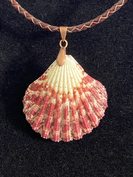 Maroon and White Seashell with Maroon Leather Cord Necklace