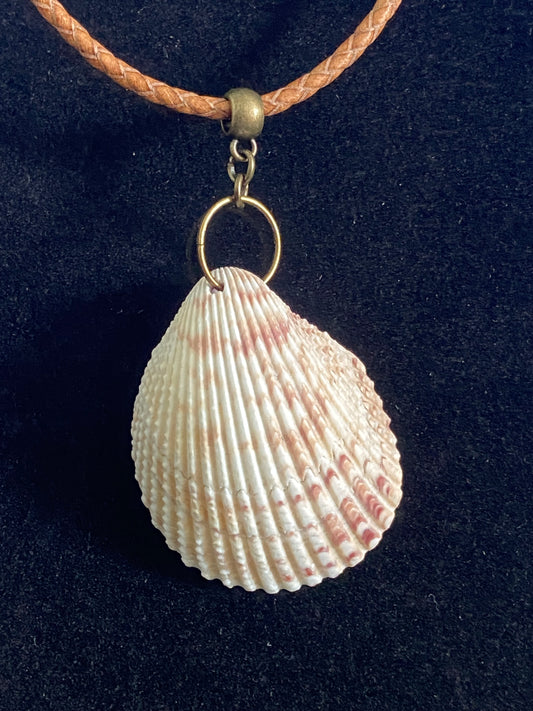 Tan and Maroon Seashell with Tan Leather Cord Necklace