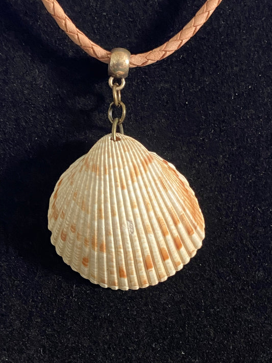 Tan and Brown Seashell with Tan Leather Cord Necklace