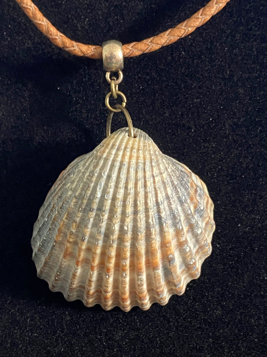 Gray and Tan Seashell with Tan Leather Cord Necklace