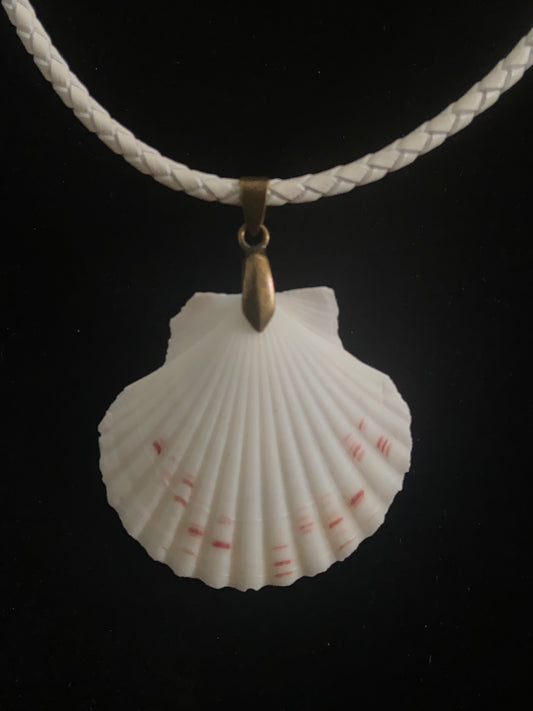 White & Tan Seashell with White Leather Cord Necklace 2