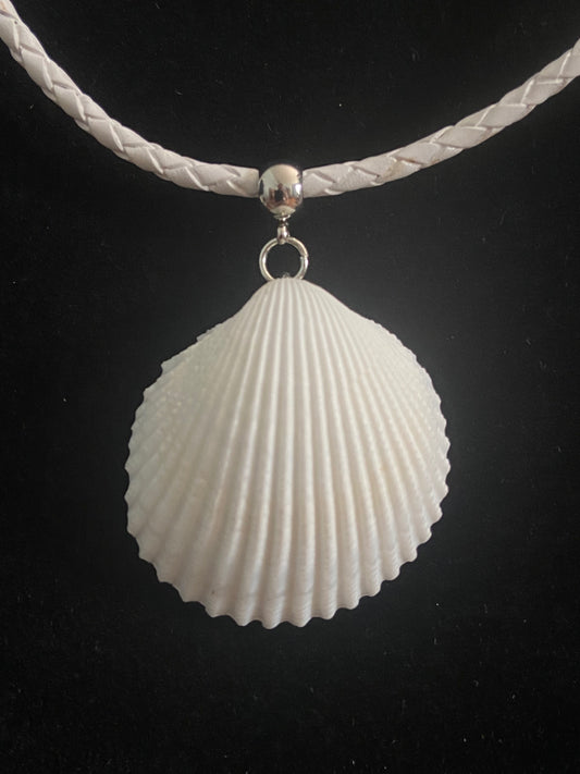 White Seashell with White Leather Cord Necklace 5