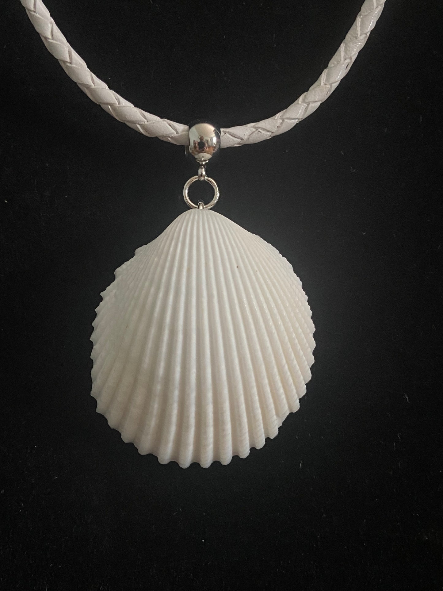 White Seashell with White Leather Cord Necklace 6