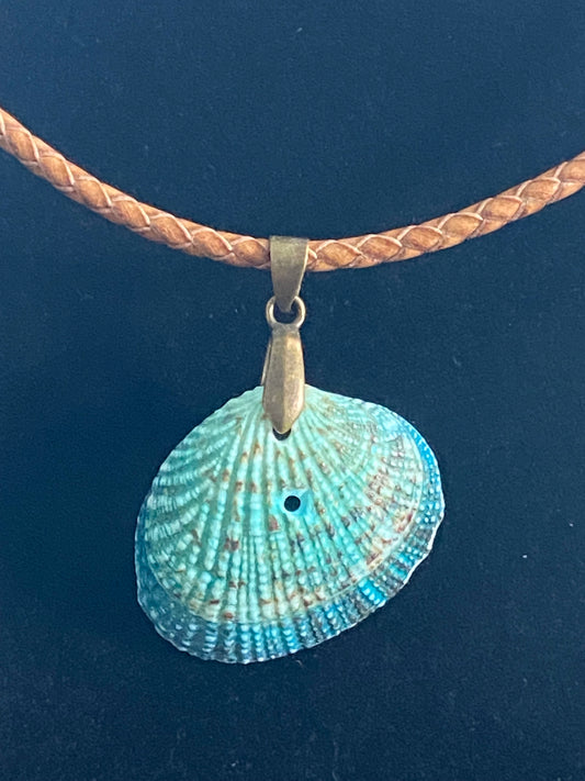 Aqua Seashell & Tan Leather Cord Necklace (slight imperfection)