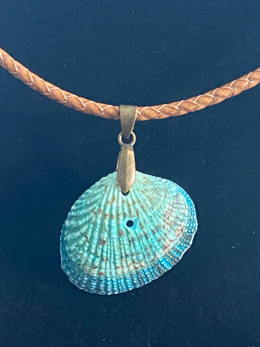 Aqua & Blue Seashell & Tan Leather Cord Necklace (slight imperfection)