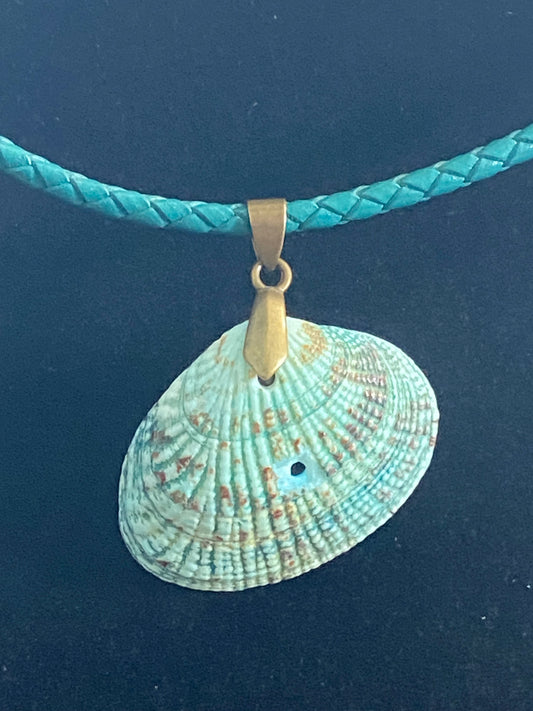 Aqua & Tan Seashell & Aqua Leather Cord Necklace (slight imperfection)
